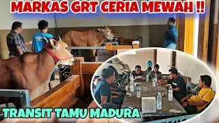 GENK MALINDOS JR BERMAIN KE MARKAS GRT CERIA || AKANKAH KEMBALI MENGINCAR SAPI GAGAK RIMANG ❓❓❓