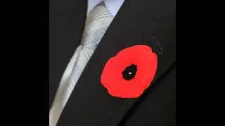 Why are some Canadian provinces banning poppies in their courts?