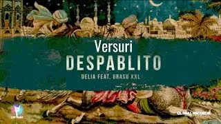 Delia x Grasu XXL-Despablito |Versuri