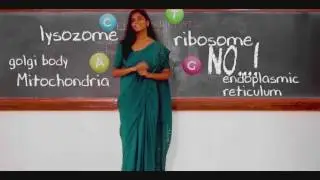 #dishaclasses  The Best #jeemains #jeeadvanced #neet #board  Coaching Center in New Delhi