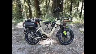 Bike ride thru The Forest Of Nisense Marks in Aptos, California