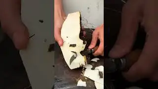 Guyue Xiaotings wonderful video 1