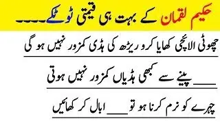 Luqman Hakeem Quotes | Hikmat Ki Batain | Wisdom quotes | Danai ki batain | World of Wisdom