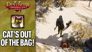 Divinity: Original Sin 2 - Cat's Out of the Bag! Achievement | Trophy Guide