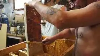 Harvesting Honey with Matt and DanK.