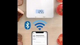 How To: Connect RENPHO Smart Food + Nutrition Scale (ES-SNG01-W) with Your Phone