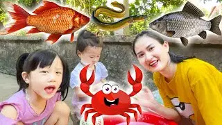 Cam Cam học t&ecirc;n c&aacute;c con c&aacute; nước ngọt: con cua, con c&aacute; v&agrave;ng, c&aacute; tr&ecirc;, c&aacute; r&ocirc; phi, con ếch