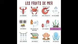 Les Fruits de Mer en fran&ccedil;ais - Seafood in french 🦐🦀 #frenchforbeginner #frenchlanguage