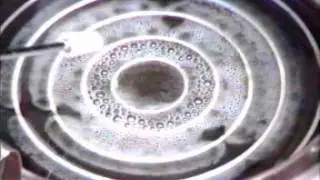 Alex Schiffer and the Joe cell construction and operating details video