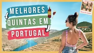 🍷 QUAIS QUINTAS VISITAR EM PORTUGAL | As MELHORES vinícolas próximas ao Porto para conhecer