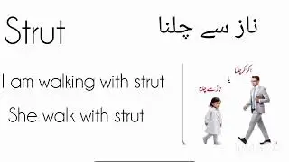 what is the meaning of strut in Urdu very question