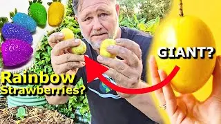 I Got SCAMMED! Exposing Fake Food Plants & Seeds Sold Online