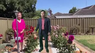 TÂN CỔ: MỘT CHUYẾN XE HOA. TB : MINH TÀI - HẰNG PHAM. 