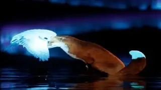 Spirit Of The North 2 Part 03 - That's A Big Bird
