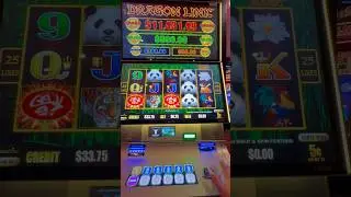 Dragon link line hit on panda magic! #casino #dragonlink #slot #casinogame #slotmachine #money