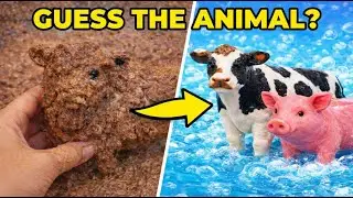 Farm Animals for Kids! 🐮 Clean the Muddy Farm Toys & Learn Names