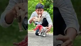 RC toy animals unboxing review testing#video