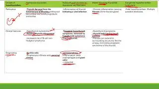 Hypothyroidism | Endocrine System | Step 1 Simplified