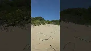 Crazy dunes fun!! #shorts #capecod #provincetown #reels #momanddaughteradventures #summer #bustrip