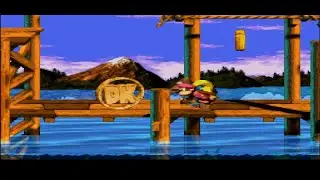 Donkey Kong Country 3 Todas 41 Moedas Dk