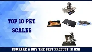 Top 10 Pet Scales to buy in USA 2021 | Price & Review