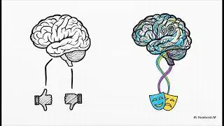 The Battle Within: How the Brain Handles Inner Conflict