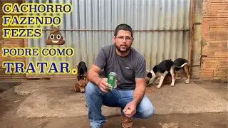 Cachorro fazendo fezes podre como tratar. # Filhote #cahorro