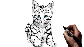 Как нарисовать котенка | Шаг за шагом