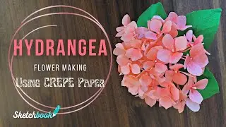 Hydrangea Flower making with crepe paper | Sketchbook