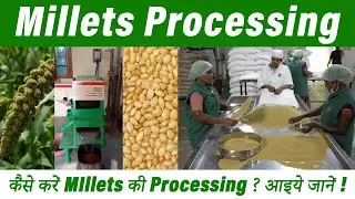 Millets Processing: कैसे करें Millets की Processing ? आइए जानें !