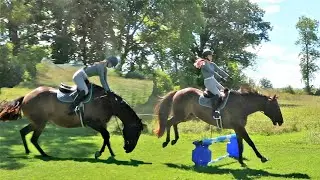 Could This Be Gabby's First Fall On Chino?