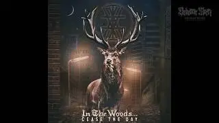 In the Woods... - Respect My Solitude (New Track)