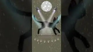 Discocat #shorts