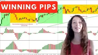 Winning Pips Forex Strategy to Profit in Bull & Bear Markets