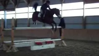 VID00008