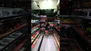 Exploring a Chinese Tropical Fish Market