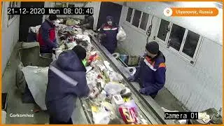 Cat saved from garbage plant in Russia