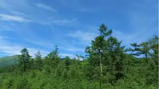 Леди Гайя: &laquo;Состояние равновесия и первозданности&raquo;.13.09.2021 #ченнелинг #Гайя #равновесие