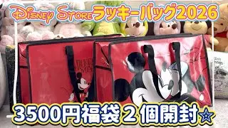 【福袋開封】2026年 ディズニーストアの3500円の福袋２個開封