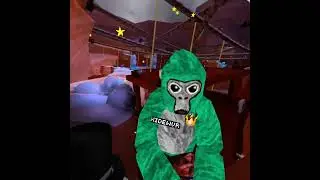 Random Gorilla Tag video
