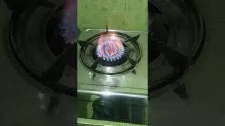 Don't Be feared: These Are the Regular Sounds Your Gas Stove!