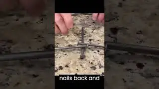 Can 1 nail hold 12?