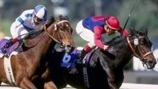 1993 Breeders' Cup Distaff - Hollywood Wildcat + Post Race