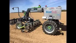 BlueBob Strube NL 2021