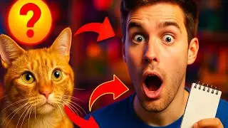 COMMENT TROUVER LE NOM PARFAIT POUR SON CHAT