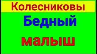 Колесниковы. Обзор влогов. Стрим Максима. 29 01 2024 Колесниковы