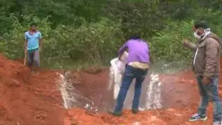 Chicken Culling program at Kacharu of Sundargarh district 1