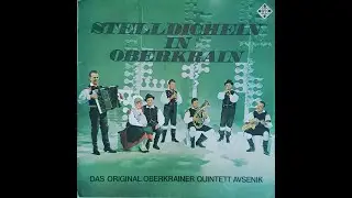 Original Oberkrainer Quintett Avsenik - Stelldichein in Oberkrain