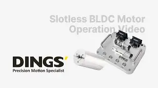 DINGS&rsquo; Slotless Brushless DC Motor Lead Screw Linear Actuator