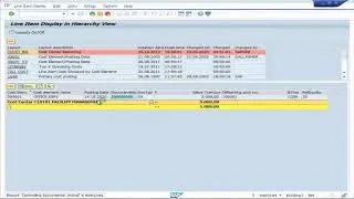 SAP FICO: Entry and Reports